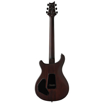 PRS SE Exotic DGT Laurel Burl Фото 4
