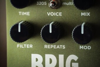 Strymon Brigadier dBucket Delay Фото 4