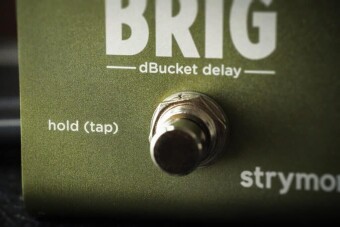 Strymon Brigadier dBucket Delay Фото 2
