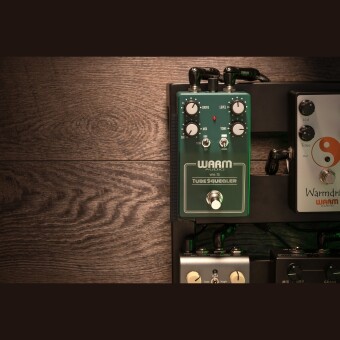 Warm Audio WA-TS Tube Squealer Фото 4