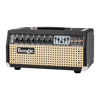 Mesa Boogie IIC+ HRG Head Фото 4