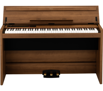 Korg Poetry Magnifique