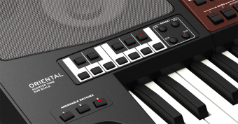 Korg Pa 700 Oriental Фото 3