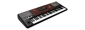 Korg Pa 700 Oriental Фото 4